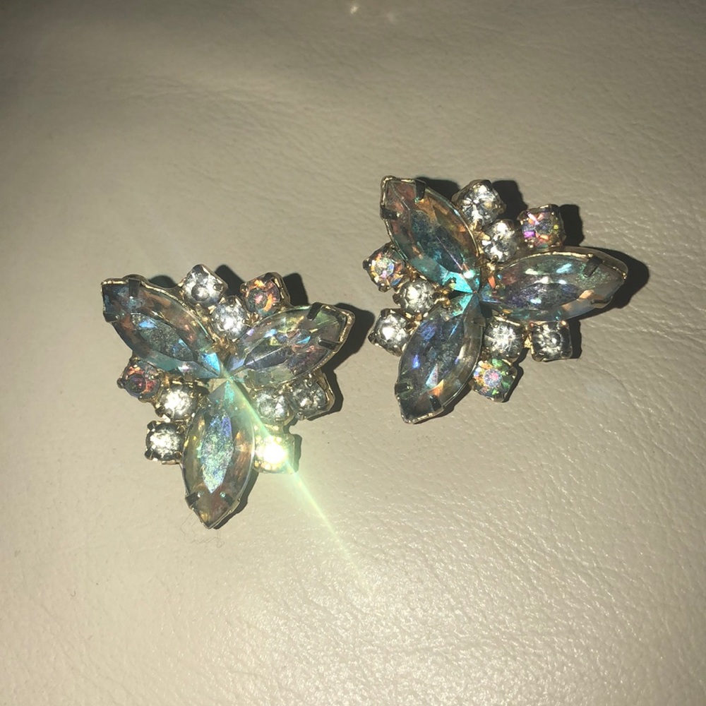 Vintage multi -colored clip earrings